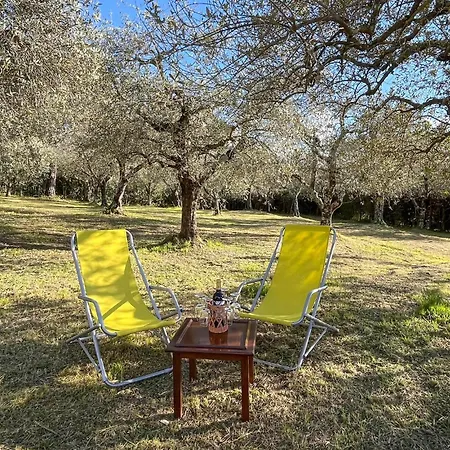 Larry Сasa de vacaciones