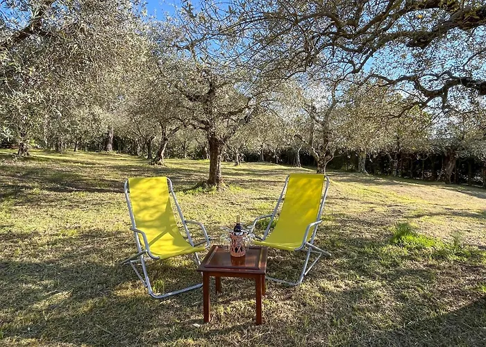 Larry بيت للعطل